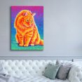 thumbnail image 5 of Epic Graffiti 'Longhaired Orange Tabby Cat'  by Rebecca Wang Art Canvas Wall Art, 40" x 54", 5 of 8