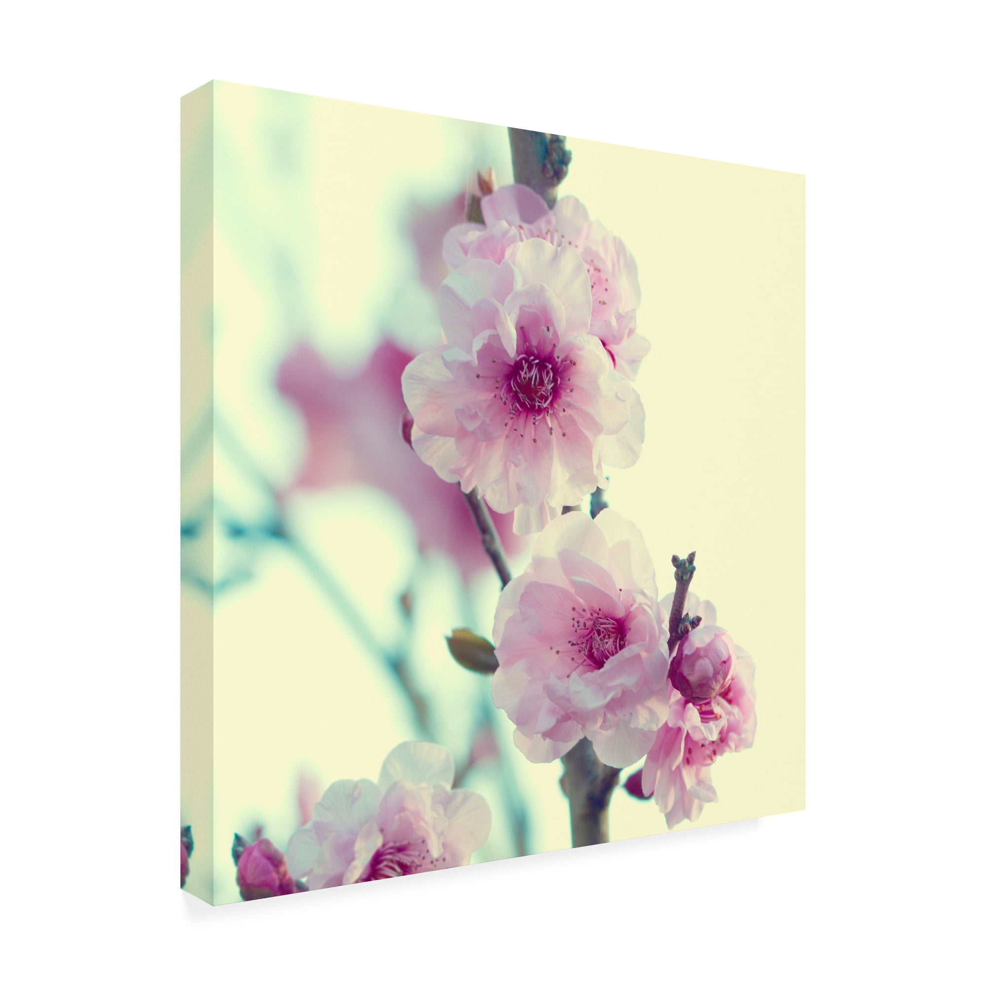 Trademark Fine Art 'BC Spring sensations' Canvas Art by Beata Czyzowska Young