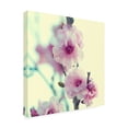 thumbnail image 2 of Trademark Fine Art 'BC Spring sensations' Canvas Art by Beata Czyzowska Young, 2 of 3