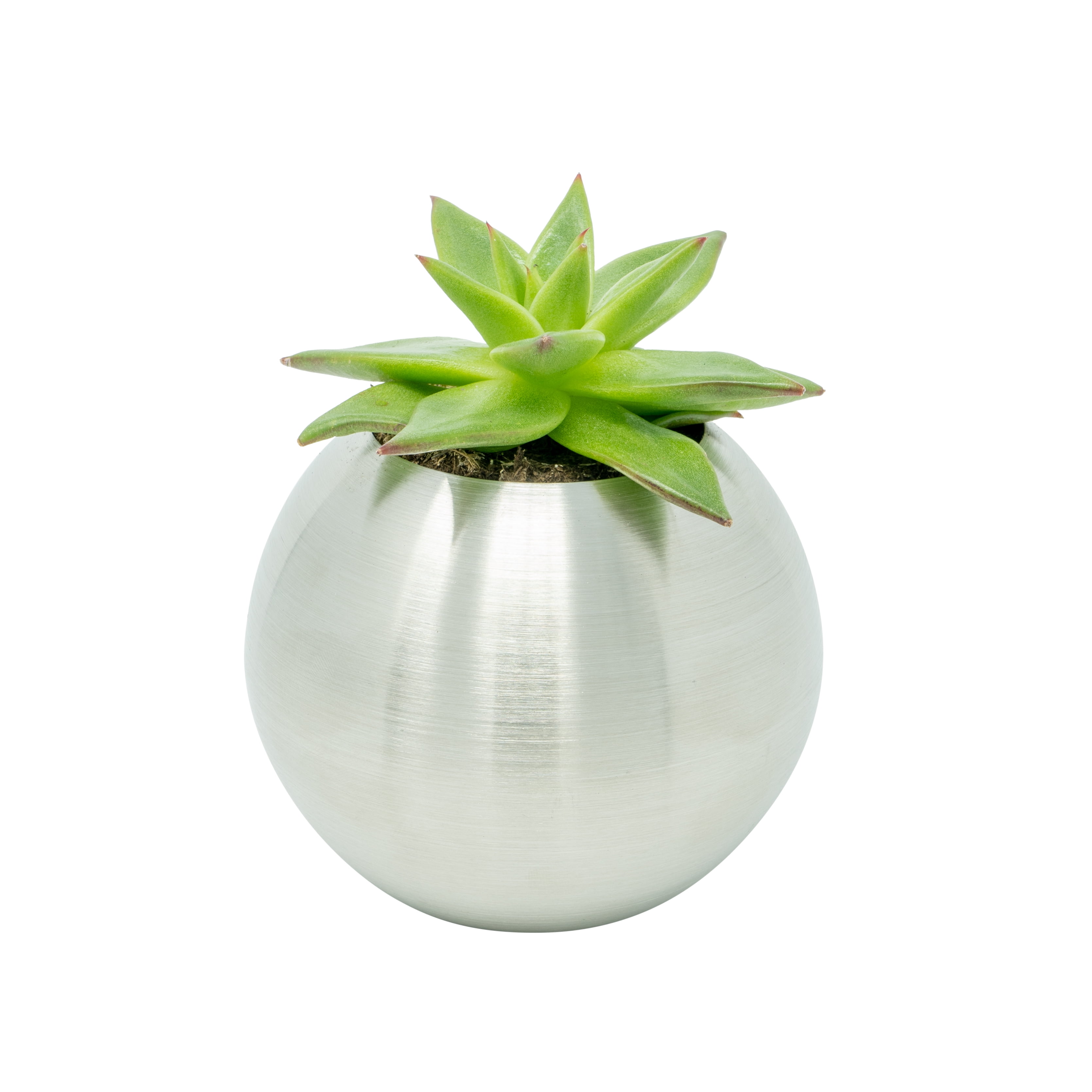 Floor Pot for Indoor Plants 8in Brushed Stainless Steel Planter Modern Sphere 