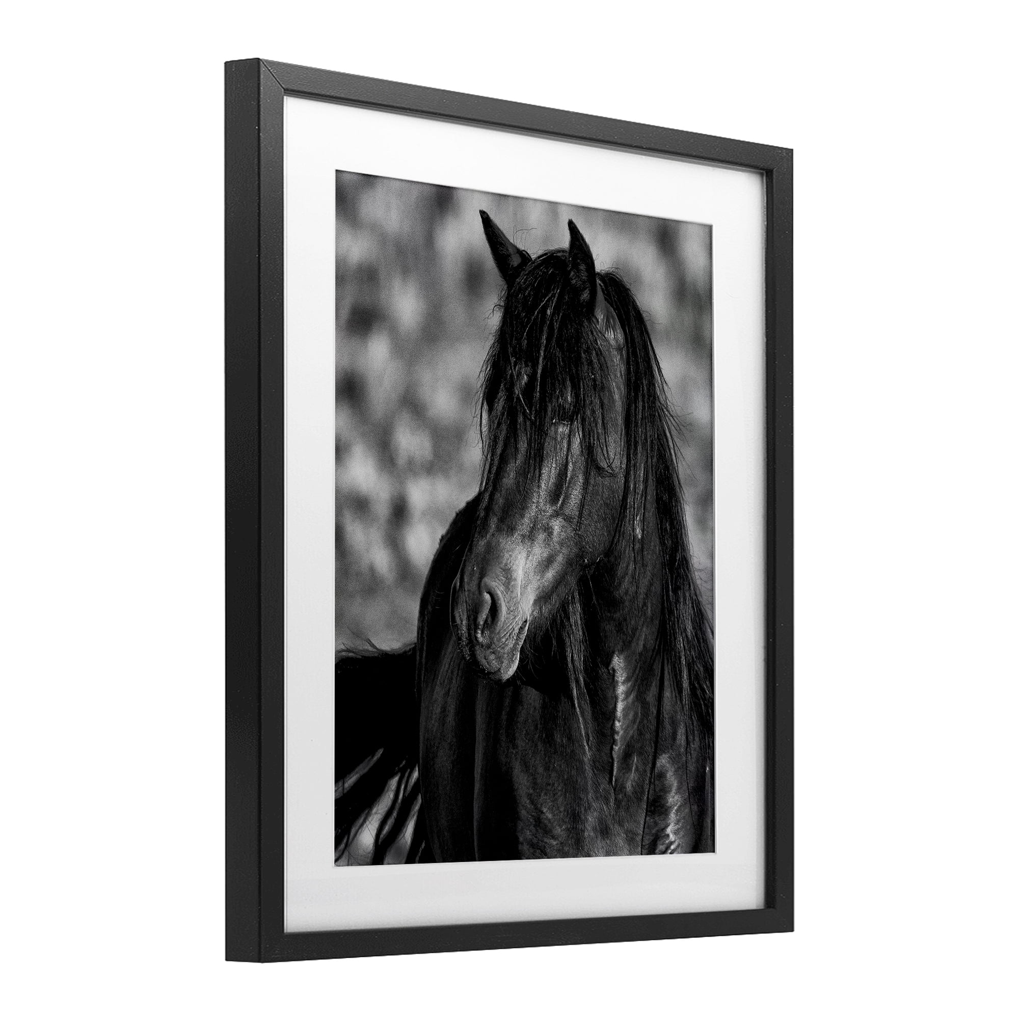 Stupell Industries Beauty In Black Black Framed Print Under Glass, design by Tim West