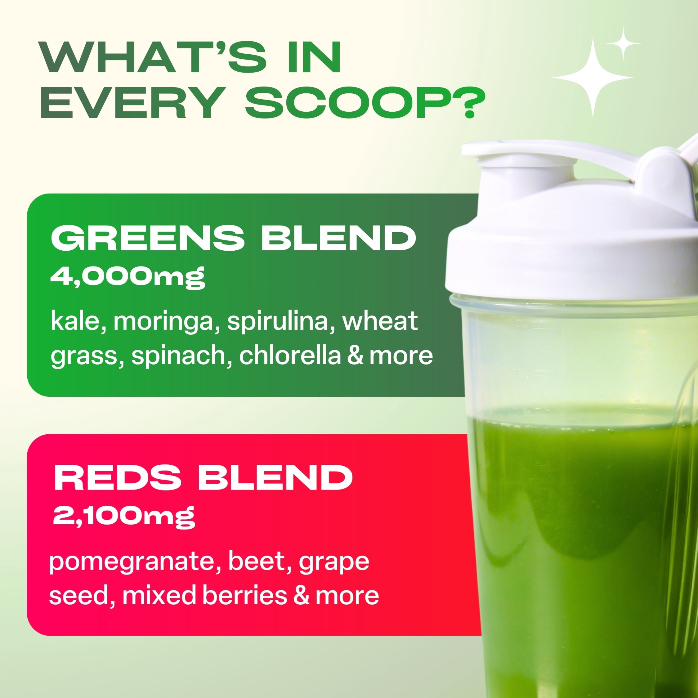 GoBiotix Super Greens & Reds Organic Super Greens Powder with Probiotics for Digestion, 30 Servings, Reds Flavor