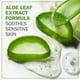 thumbnail image 5 of Toallitas desmaquillantes Olay Daily Facials, 33 unidades (paquete de 3), 5 of 7