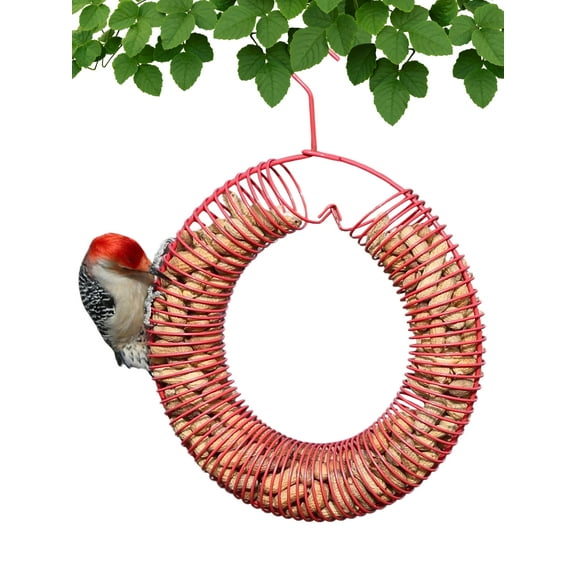 Songbird Essentials Bird Feeder Squirrel Feeder Whole Peanuts Wreath Red
