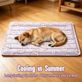thumbnail image 4 of Outdor Ice Mat For Cats Self Gel Pad No Electricity Needed Floor Wear, 4 of 5