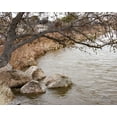 thumbnail image 2 of Murdock, Ramona 32x26 White Modern Wood Framed Museum Art Print Titled - The Swimming Hole, 2 of 4