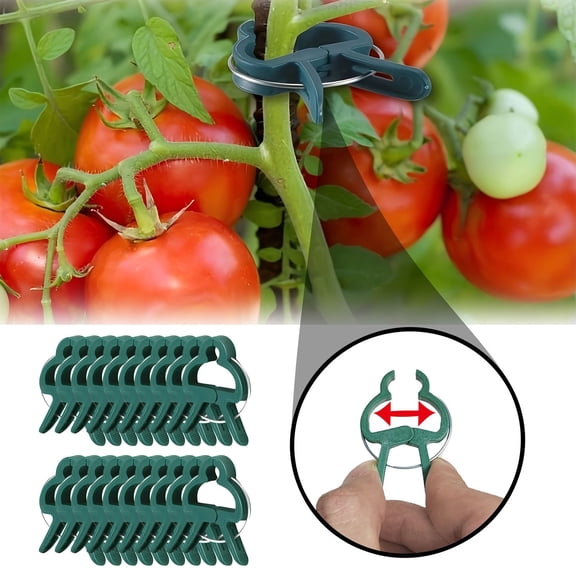 20PCs Horticultural Fixing Clip Plant Support Clip Vine Fixing Buckle Reusable for Potted Vegetables Flowers and Green Plants,Multicolor Plastic Clips for Gardening and Training
