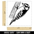 thumbnail image 2 of Sweet Downy Woodpecker Bird Self-Inking Rubber Stamp Ink Stamper - Brown Ink - Small 1 Inch, 2 of 7