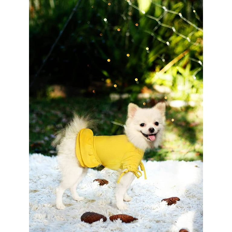 Yellow dog dress, Gold dog dress, dog dresses, clothes for dogs, fancy dog dresses, pet 2024 clothes, dog dress,