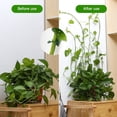 thumbnail image 3 of SHAR 100Pcs-Large Climbing Plant Support Clip, Self Adhesive Plant Clips, Green Vine Wall Mount Clip, Wall Fixer, Plant Support Hook Clip, Stake Clip, Plant Wall Decoration, 3 of 5