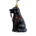 thumbnail image 5 of Black Lab In Vest - 1 Ornament 3.5 Inch, Glass - Ornament Fetching Ring Dog ZKP4609BLF, 5 of 5