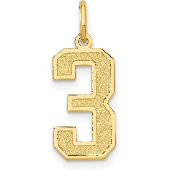 Solid 10k Yellow Gold Medium Satin Number 3 Charm - 20mm