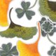 thumbnail image 4 of Hytrove 8Ud Parche Shamrock Bordado Autoadhesivo Para Ropa Con De Hojas En Degradado, 4 of 6