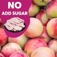 thumbnail image 4 of Freeze-Dried Fruit Peach Chips, 9 Pack Single-Serve Pack, Non GMO, Kosher, No Add Sugar, Gluten free, Vegan, Holiday Gifts, Healthy Snack 0.35 Ounce, 4 of 5