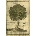thumbnail image 2 of Vision Studio 13x18 Black Ornate Wood Framed with Double Matting Museum Art Print Titled - Printed Fruitful Realm I, 2 of 4