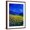 Brown Frame, variant on Art.com Blue Cornflowers 4550 Art Print by Pol Ledent, 12" x 16"