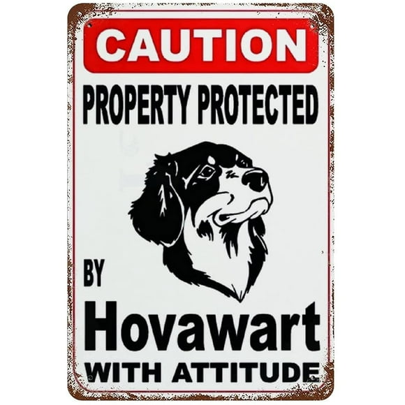 Classic Guard Dog Warning Signs Property Protected by Hovawart Outdoors Wall Decor Yard Signs Home Decor Classic Aesthetic Art Signs 16" x 12"