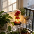 thumbnail image 5 of Valentines Day Gifts for Her, Valentines Rose Flowers Gifts for Women Mom Wife Girlfriend Daughter Grandma, Light Up Rose in A Glass Dome Gifts for Mom,Birthday Gifts for Women, 5 of 5