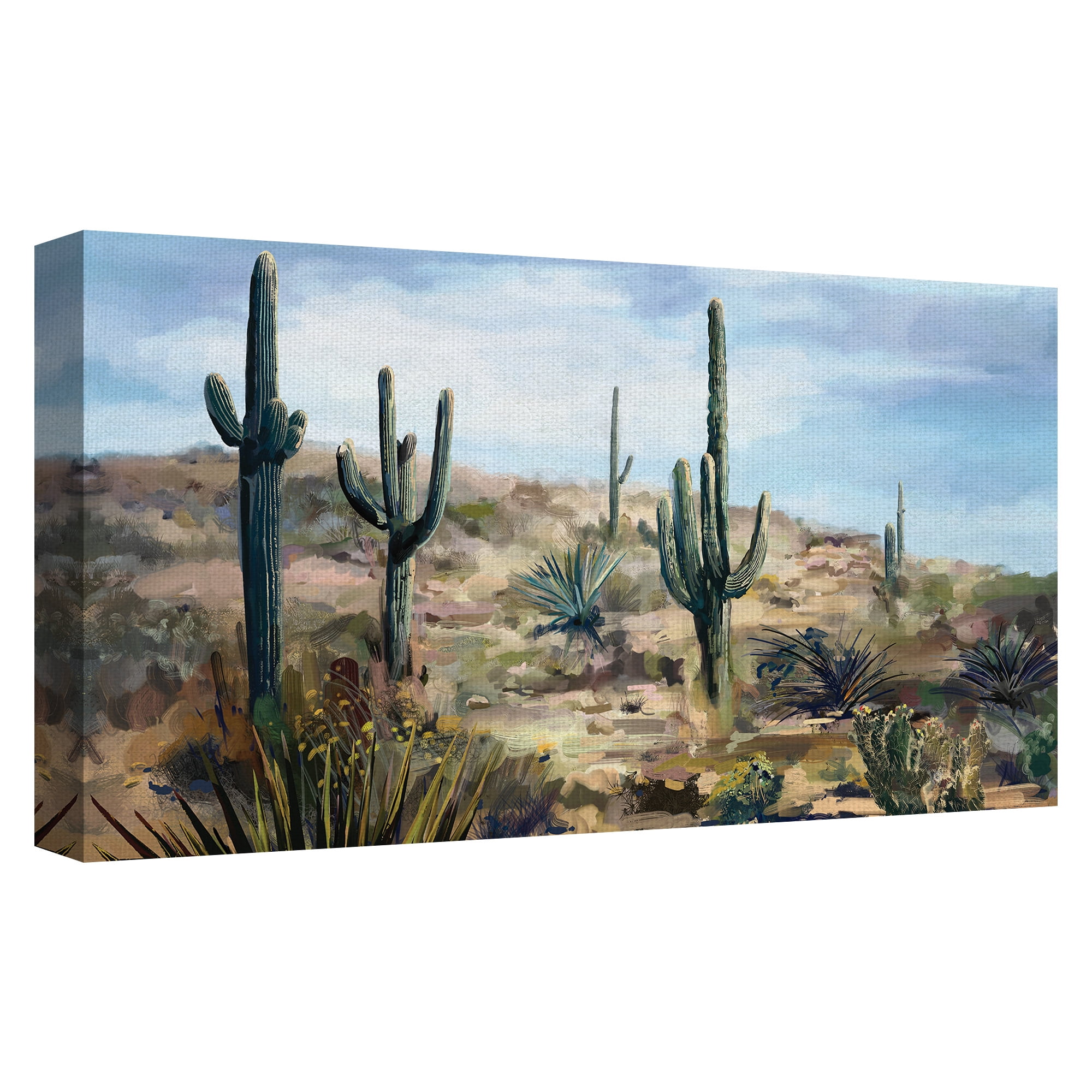 Masterpiece Art Gallery Desert Cactus Vista by Studio Arts Canvas Art Print 17" x 34"