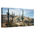 thumbnail image 4 of Masterpiece Art Gallery Desert Cactus Vista by Studio Arts Canvas Art Print 17" x 34", 4 of 4