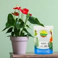 Anthurium Plant Potting Soil Mix (4 Quarts), Indoor Houseplant Custom Blend for Flowering