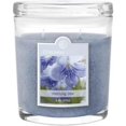 thumbnail image 1 of Colonial Candle CC008.4651 Pot de Rosée Matinal Printemps Colonial Candle de 8 Oz, 1 of 1