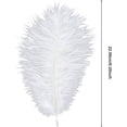thumbnail image 2 of Namzi 50 Pieces Ostrich Feathers, 7.9-9.8inch Mixed Color Ostrich Feathers Craft Art Soft Feathers for Wedding Centerpieces, Festival Party, DIY Art Craft, Home Decoration, 2 of 5