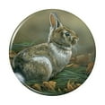thumbnail image 1 of Cottontail Rabbit Bunny Pinback Button Pin, 1 of 5