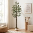 thumbnail image 5 of pansass Artificial Olive Tree, 6FT Fake Plants Indoor, Faux Tall Olive Tree with 936 Leaves & 52 Lifelike Fruits for Home Office Outdoor Room Decor, 5 of 11