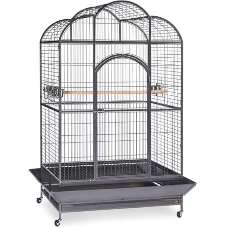 UPC: 0048081031551 | Prevue Pet Products Wrought Iron Silverado Macaw Dometop Bird Cage  Silver