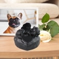 thumbnail image 1 of Urna conmemorativa para mascotas, urnas de cenizas para mascotas, suministros para jardín, recuerdos memorables, ataúd de , caja de recuerdo, 1 of 7