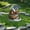 A Home Party Indoor Decoration Essentials, variant on Nsxcdh Flower Pot Standing Card Garden Wooden Stake 7.1x2.8x0.7in Easy Install Artistic Courtyard Decorative Ground Plug Outdoor Home Decor Party Cute Decoration Favors for Kids