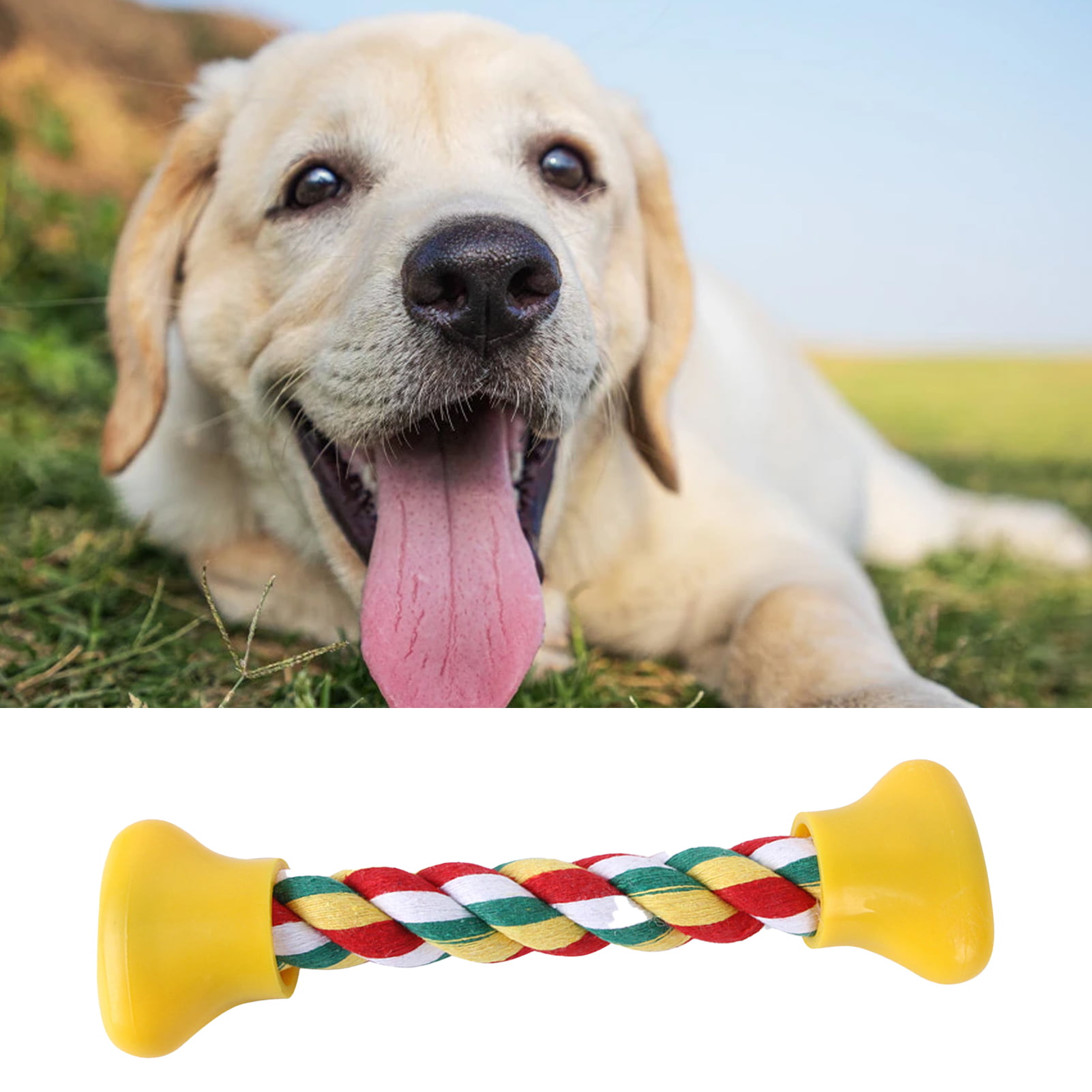 XWQ Pet Rope Toy Braided Bone Rope Relieve Boredom Playing Toys
