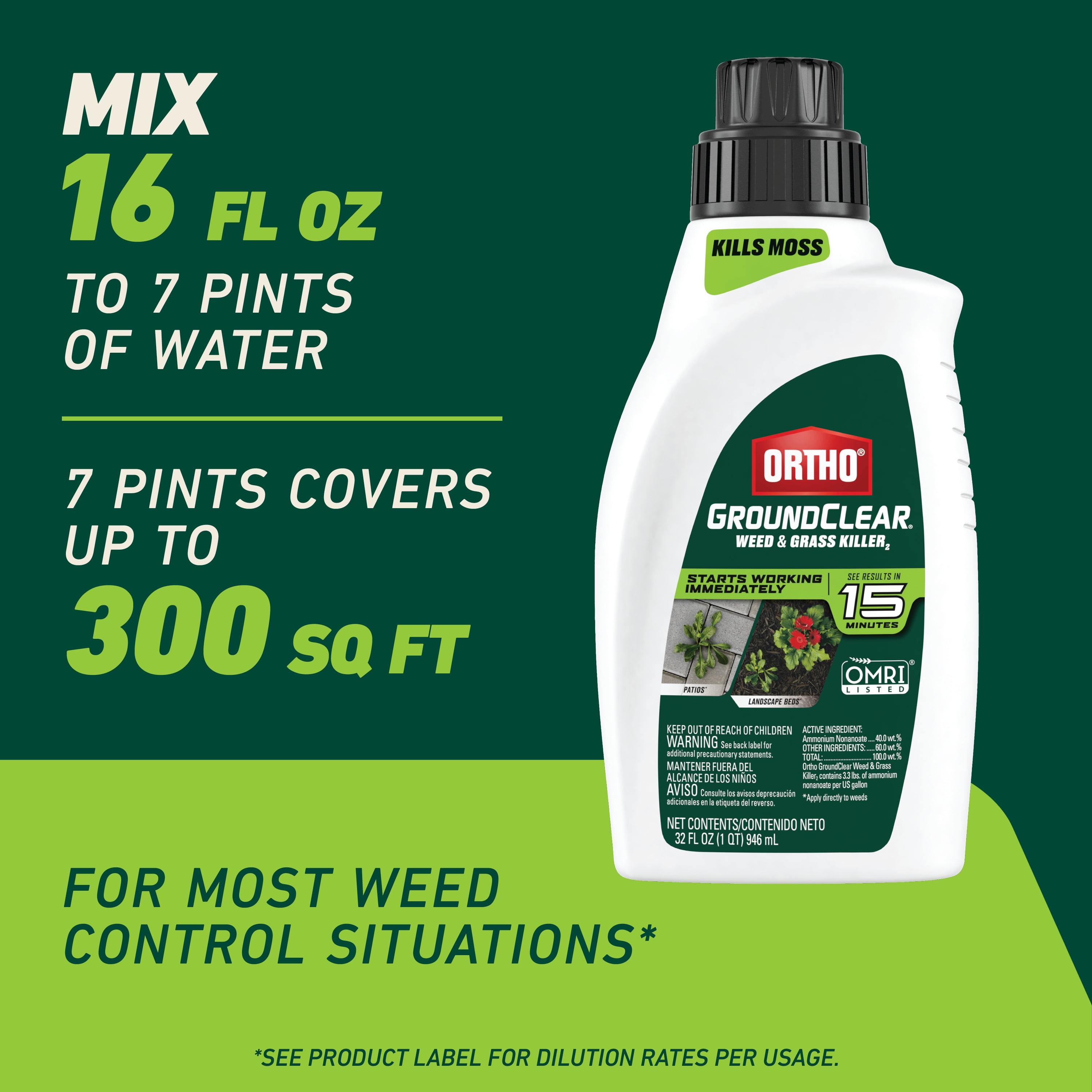 Ortho GroundClear Weed and Grass Killer2 Concentrate, Kills Moss and More, 32 fl. oz.