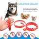 thumbnail image 1 of Collar Para Mascotas Anti Pulgas Y Garrapatas Y Mosquitos Para Perros De 1 Año Gao Jiahui unisex, 1 of 1