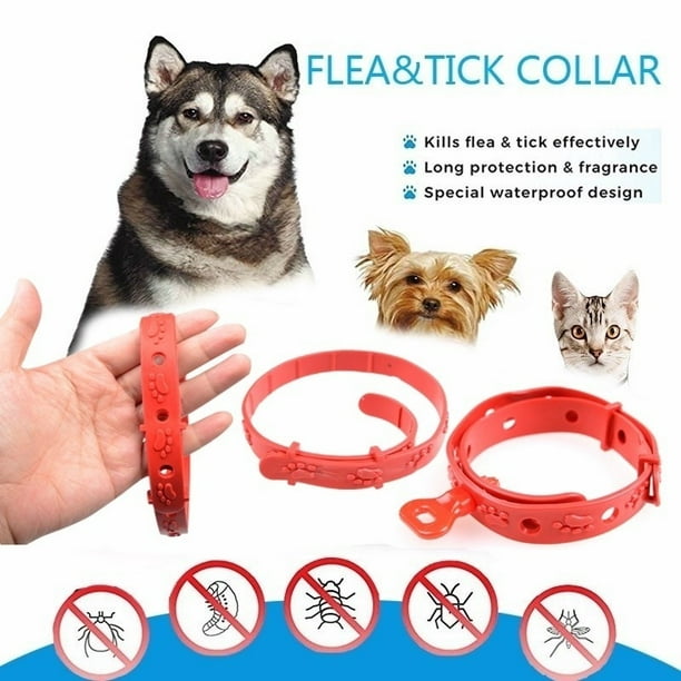 Collar Para Mascotas Anti Pulgas Y Garrapatas Y Mosquitos Para Perros De 1 Año Gao Jiahui unisex