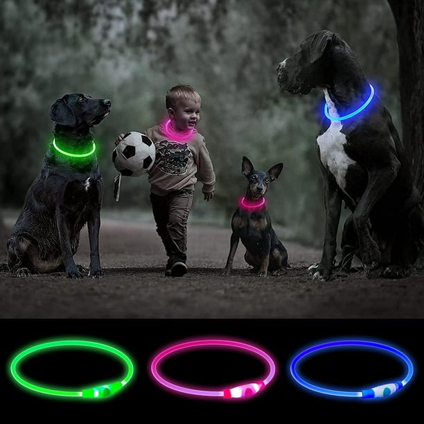 Collier lumineux LED Shoous USB pour animaux de compagnie