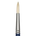 thumbnail image 1 of CEPILLO DIXON TIC/PRINCETON DIXON TIC/PRINCETON BRUSH  PB5200R6, 1 of 1