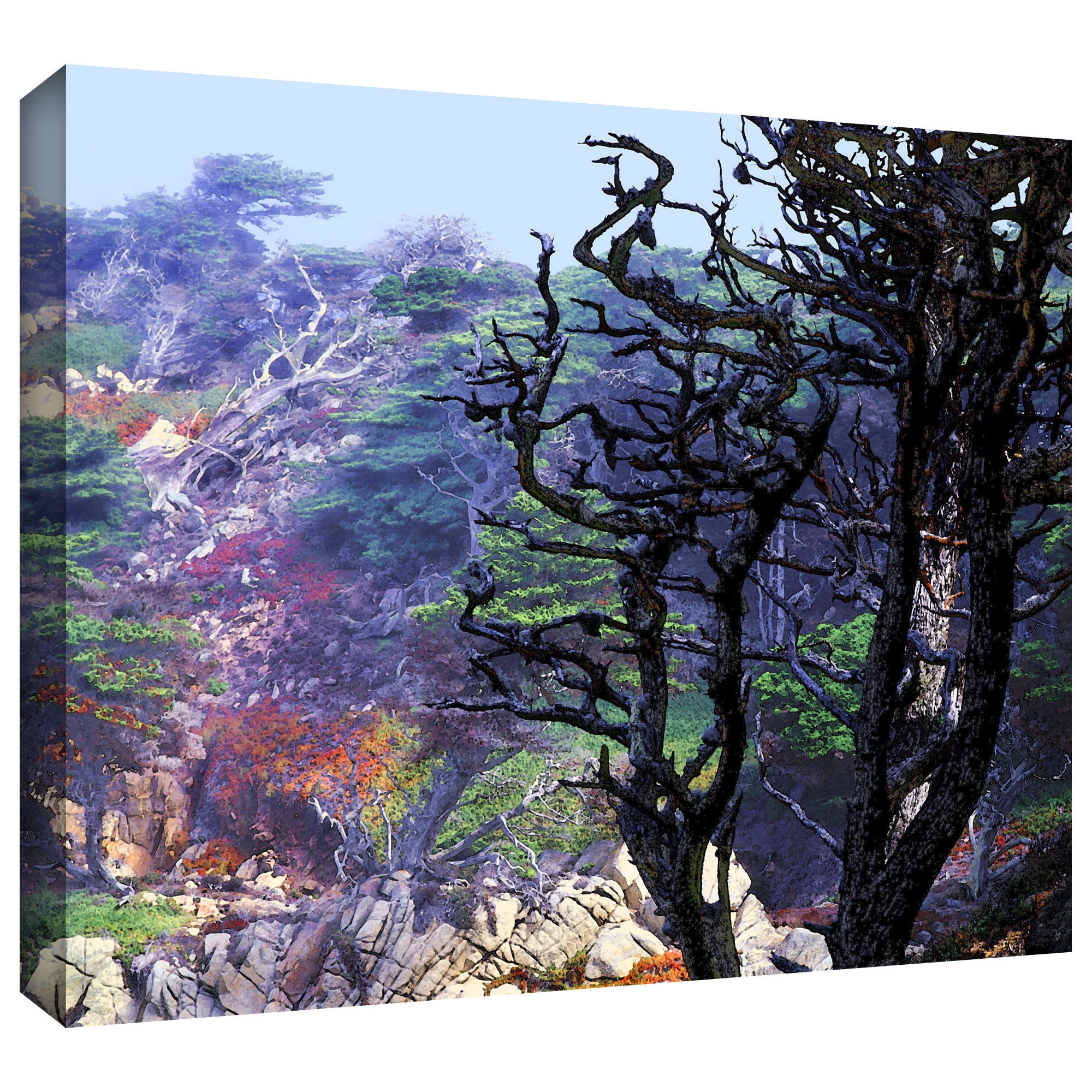 Dean Uhlinger "Point Lobos Morning" Gallery-Wrapped Canvas