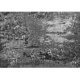 thumbnail image 1 of Ahgly Company Indoor Rectangle Oriental Gray Industrial Area Rugs, 3' x 5', 1 of 4