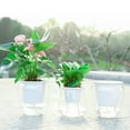 thumbnail image 3 of Bobasndm Self Watering Planter , 2Pack Violet Pots, Clear Plastic Automatic-Watering Planter Flower Pot Plant Pot for All House Plants, Succulents, Herb, African Violets, 3 of 9