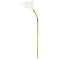 thumbnail image 6 of 1/10pcs Artificial Flowers for Table Decoration - Elegant Flower Vase Arrangement, 6 of 6