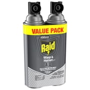 Raid Outdoor Wasp & Hornet Insecticide Value Pack, 14 oz., 2 Count