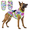 Purple, variant on Camouflage Dog Vest, Adjustable Pet Vest, Lightweight Polyester Apparel Pet Jacket Clothes for Outdoor Walking, 9 Sizes (XS-5XL)