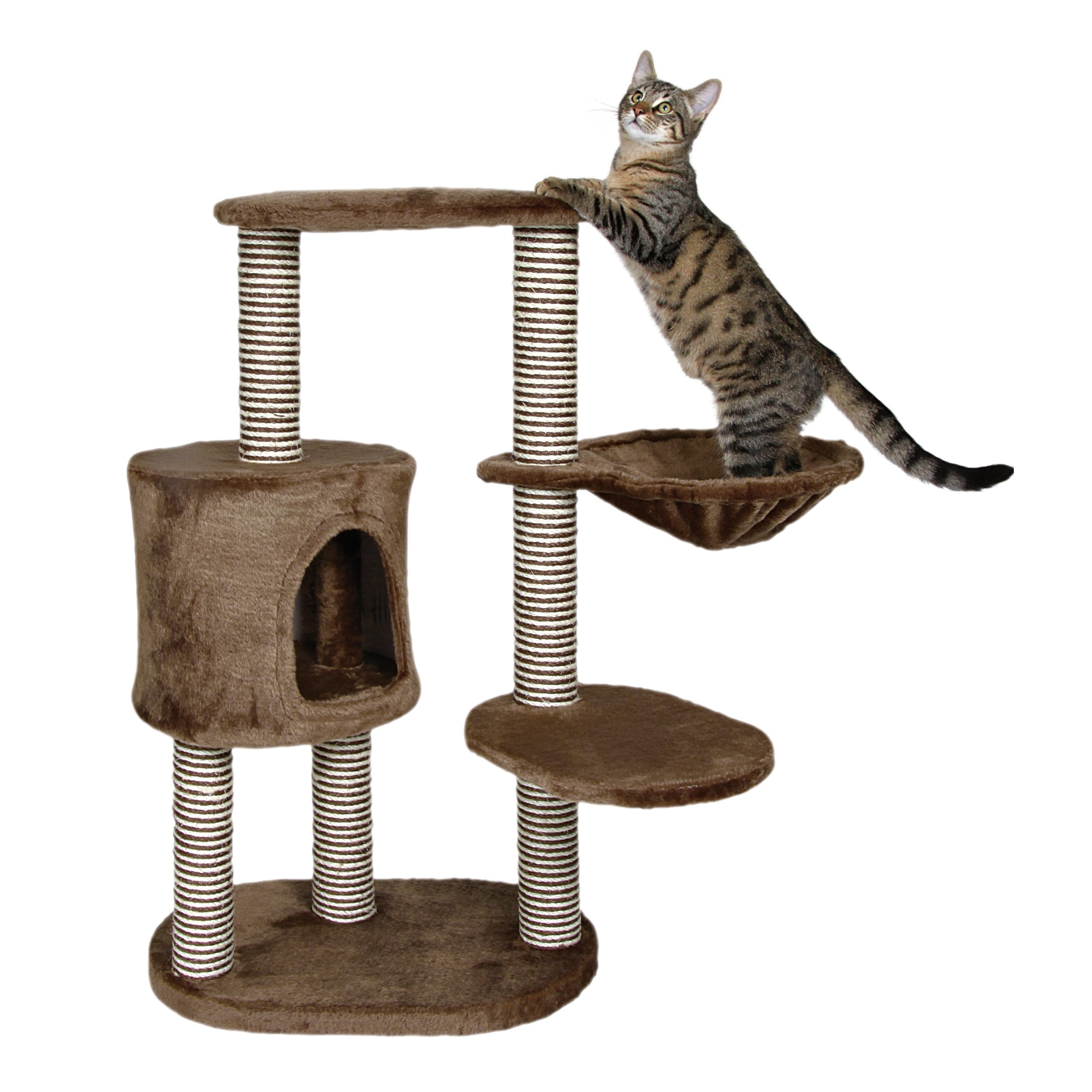 Trixie Pet Moriles Cat Tree (Brown)