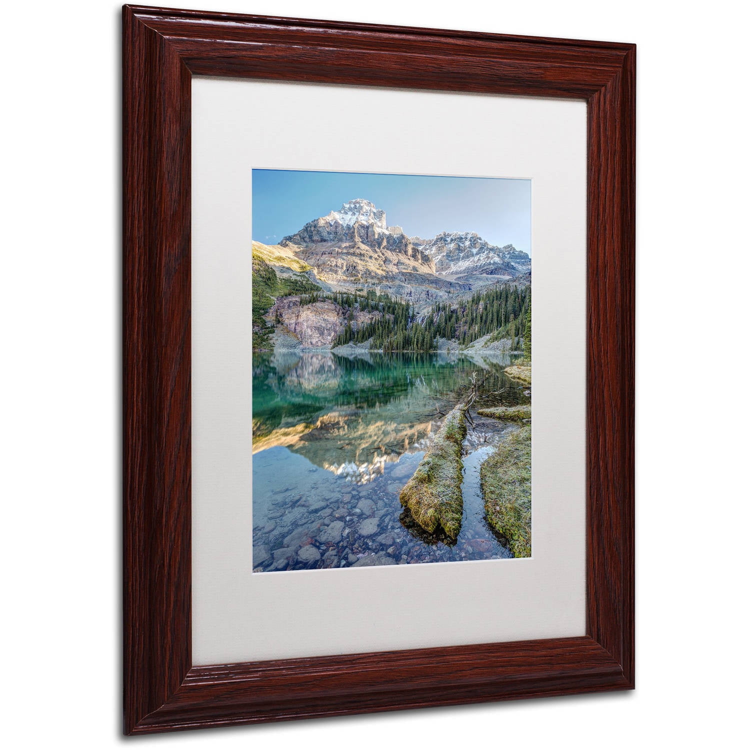 Trademark Fine Art 'Lake O'Hara Scenic Shoreline' Canvas Art by Pierre Leclerc, White Matte, Wood Frame