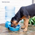 thumbnail image 3 of Cuenco de agua Petmate Big Blue Outdoor 18.9L para mascotas, 3 of 5