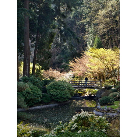 Japanese Gardens in Washington Park, Portland, Oregon, USA Print Wall Art By Janis