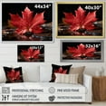 thumbnail image 4 of Designart "Pride in Canadian Beauty III" Canada Floater Framed Wall Art Print, 4 of 7