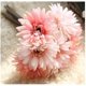 thumbnail image 1 of Artificial Daisy Flower Bride And Bridesmaid Bouquet 7 Stems Silk Daisy Flower Diy Decorative Rose, 1 of 4